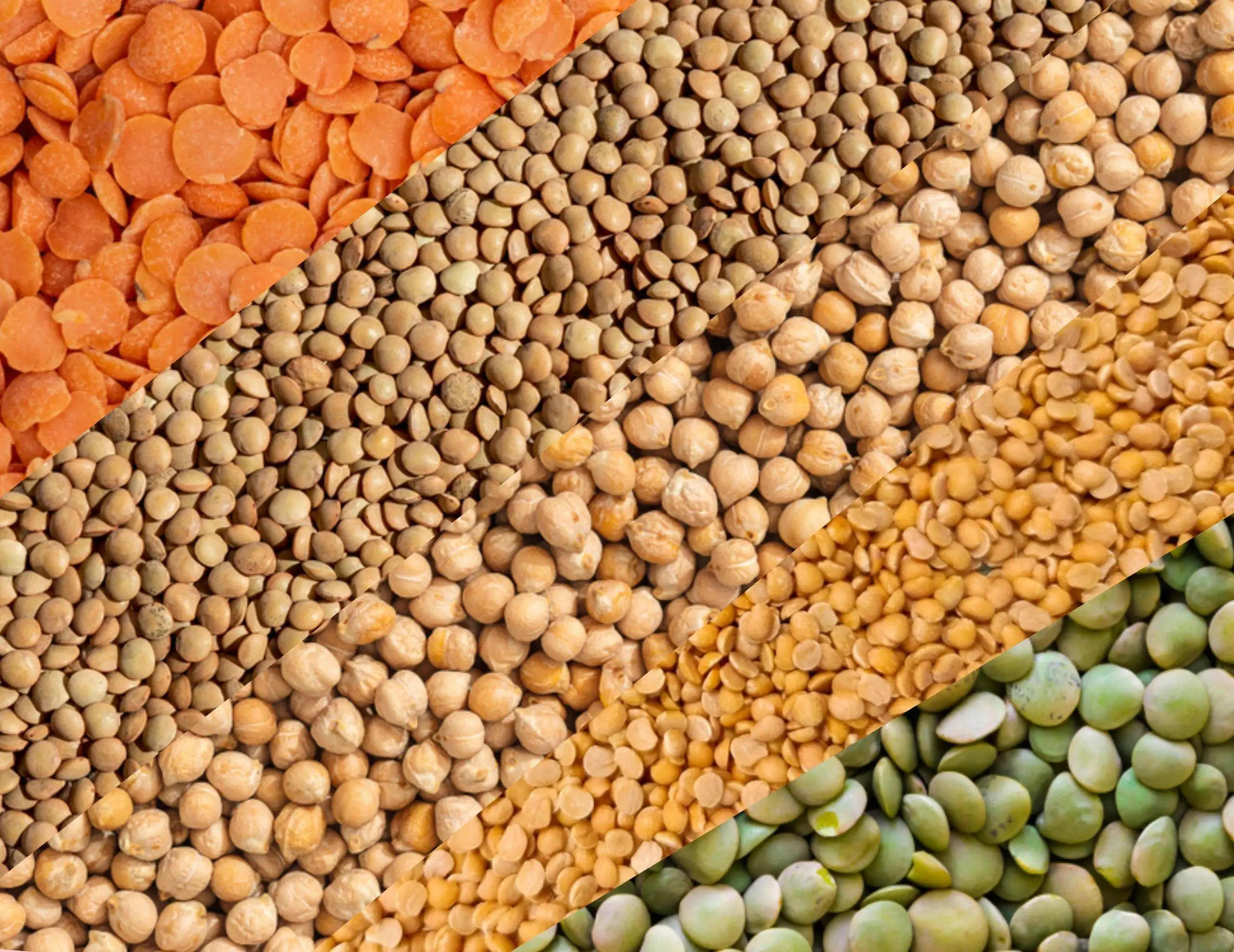 Pulses & Lentils
